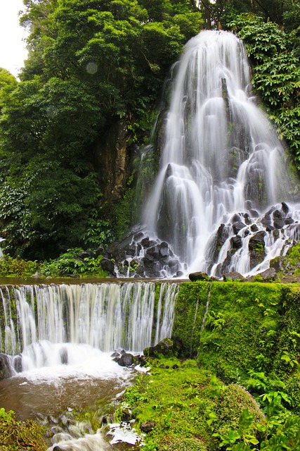 A gorgeous thundering waterfall pours over a cliff into a stream on São Miguel Island, Azores.