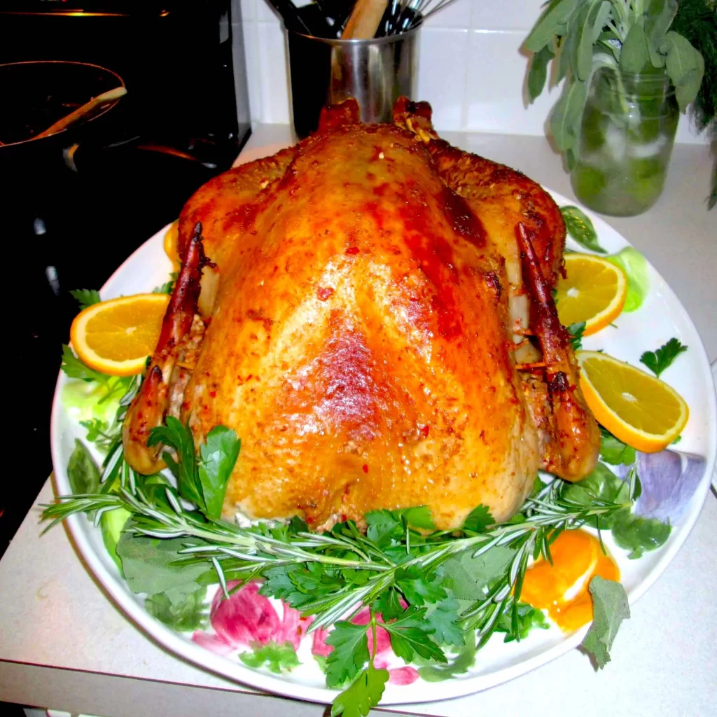 A brilliant Thanksgiving turkey surrounded by fresh orange slices and fresh herbs. The turkey is slightly red, due to the Portuguese marinade.