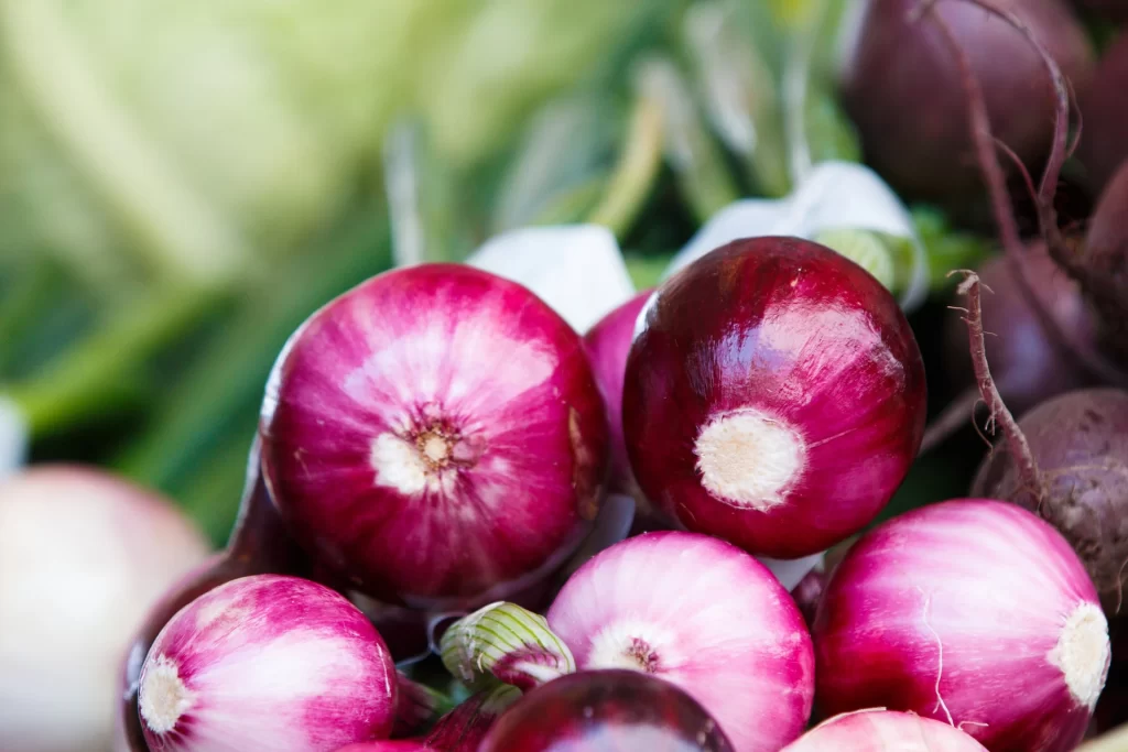 Fresh deep purple onions are shown, with bright green stalks blurred behind them.